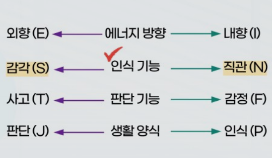 MBTI 감각형 직관형