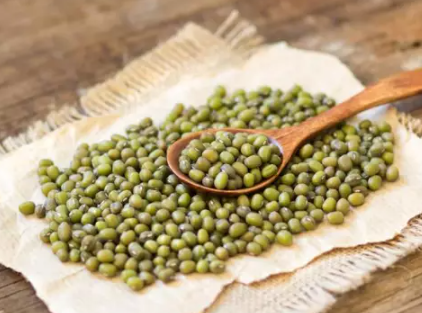 녹두에 관한 사진