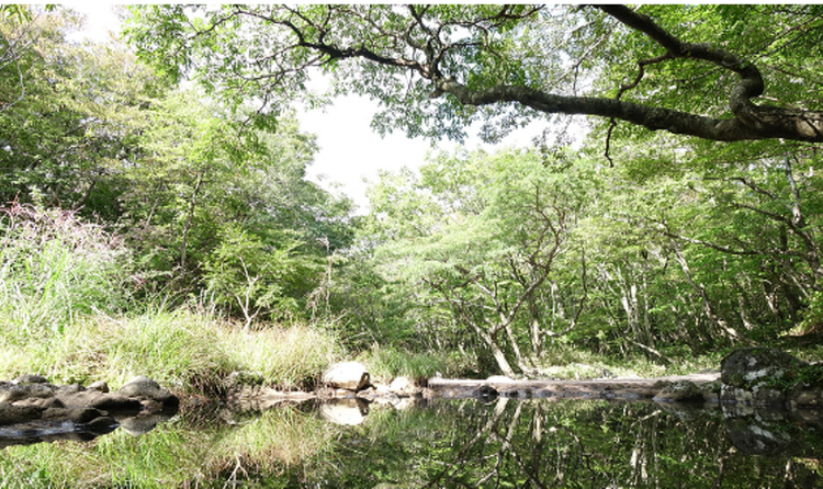 한라산 둘레길