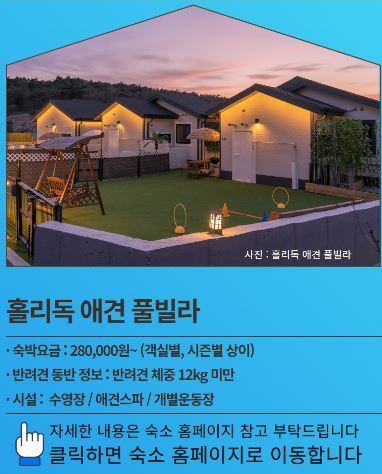 홀리독애견펜션