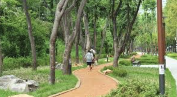 계족산 황톳길 주요 정보