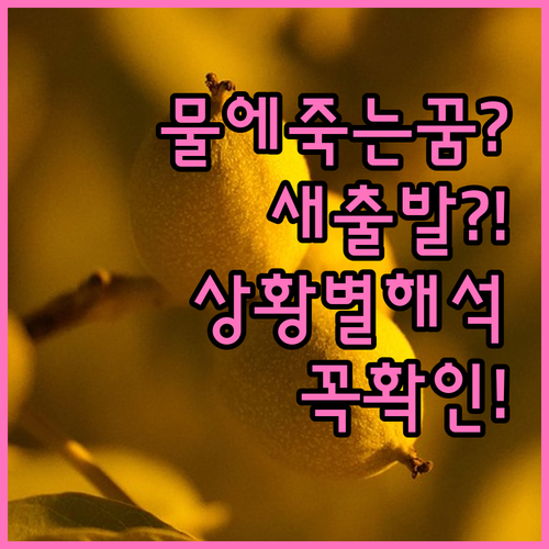 물에 빠져 죽는 꿈은 새출발? 상황별..