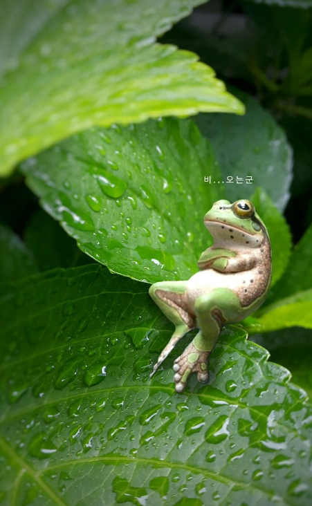 축령산 자연휴양림