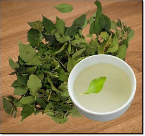 스테비아 잎 차