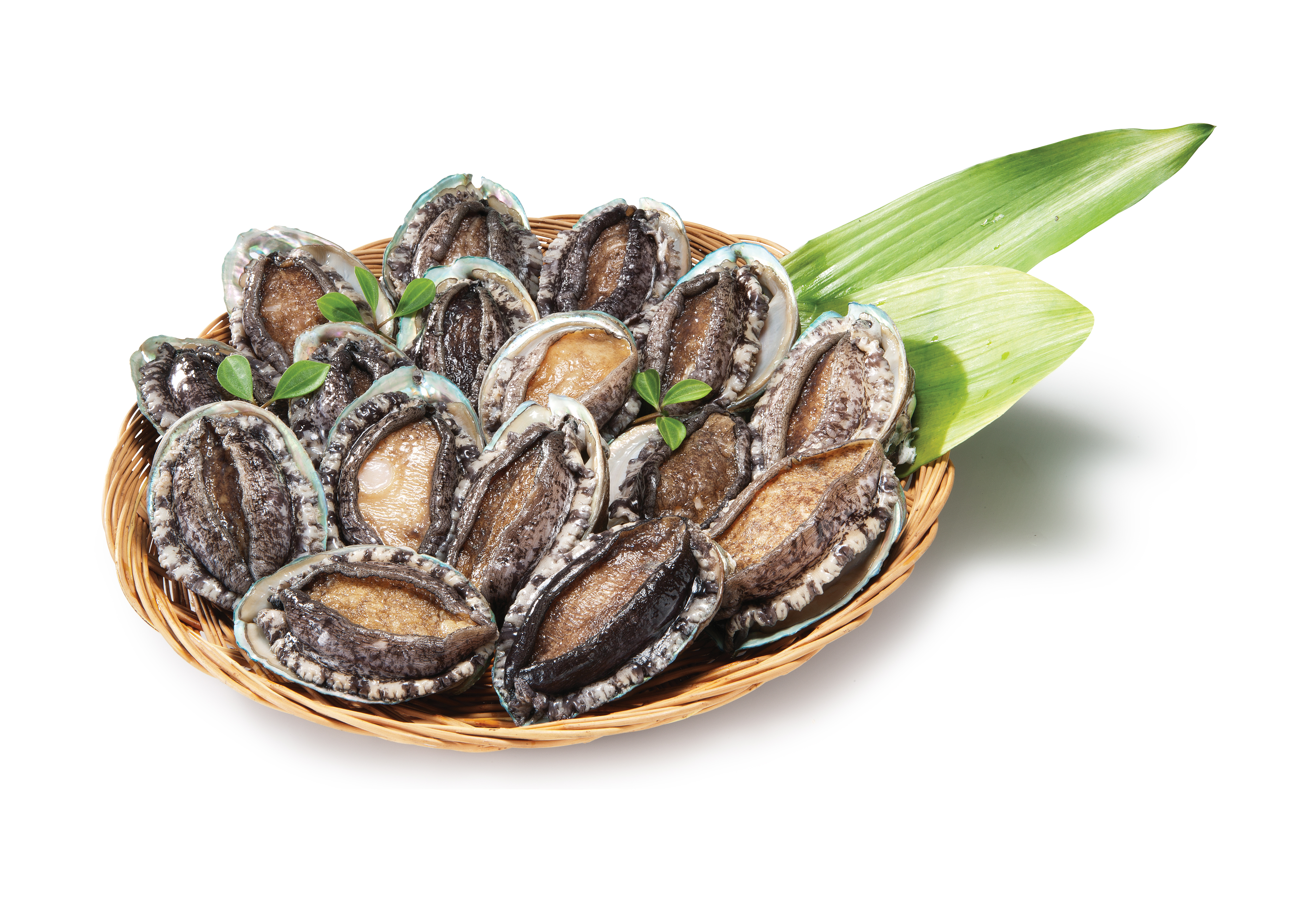 6월 제철 수산물인 활전복이 바구니에 담긴 신선한 해산물 이미지