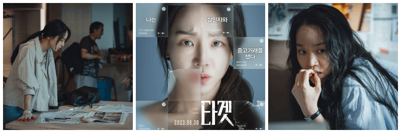 타겟 포토, 포스터