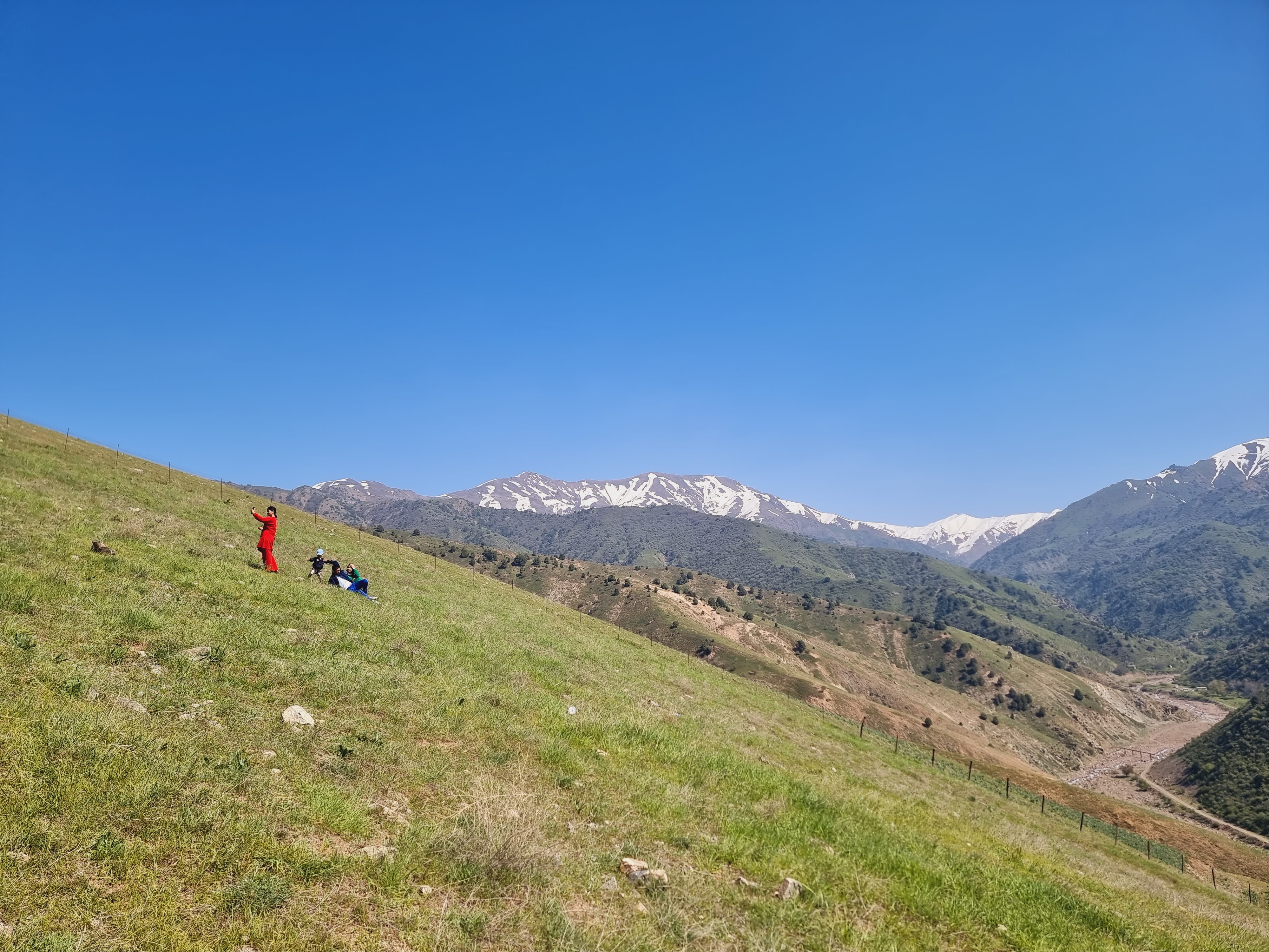 주변 풍광 및 꽃