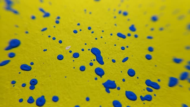 색과 언어의 표현: '푸르다'와 'Blue'의 어원 비교
