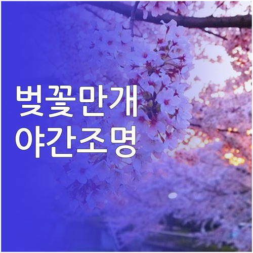 석촌호수 벚꽃 만개 피크 시기 및 야..