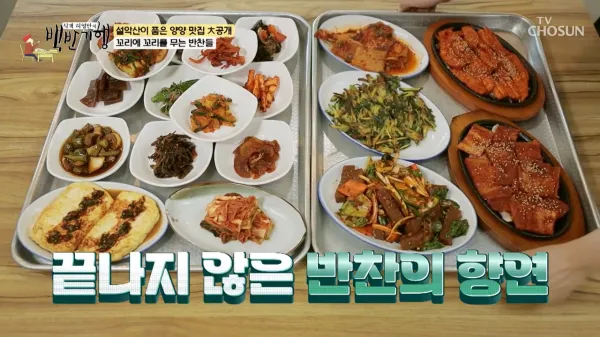 백반기행-청국장-산채비빔밥-양양