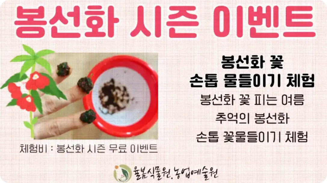 율봄식물원 봉선화시즌 봉선화 꽃물들이기