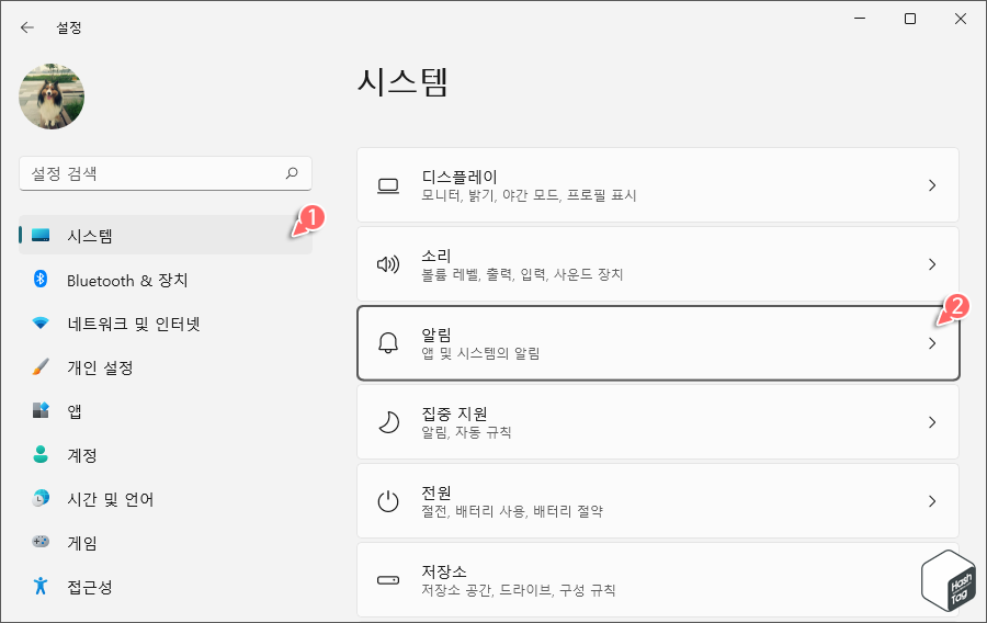 Windows 11 알림 설정