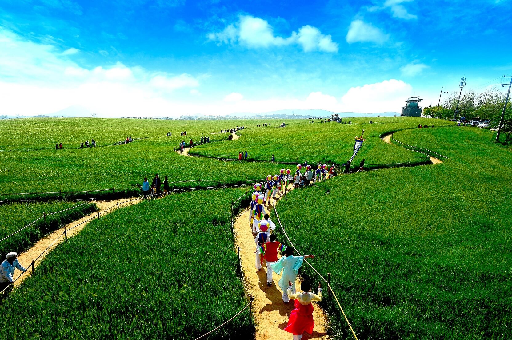 고창 청보리밭 축제