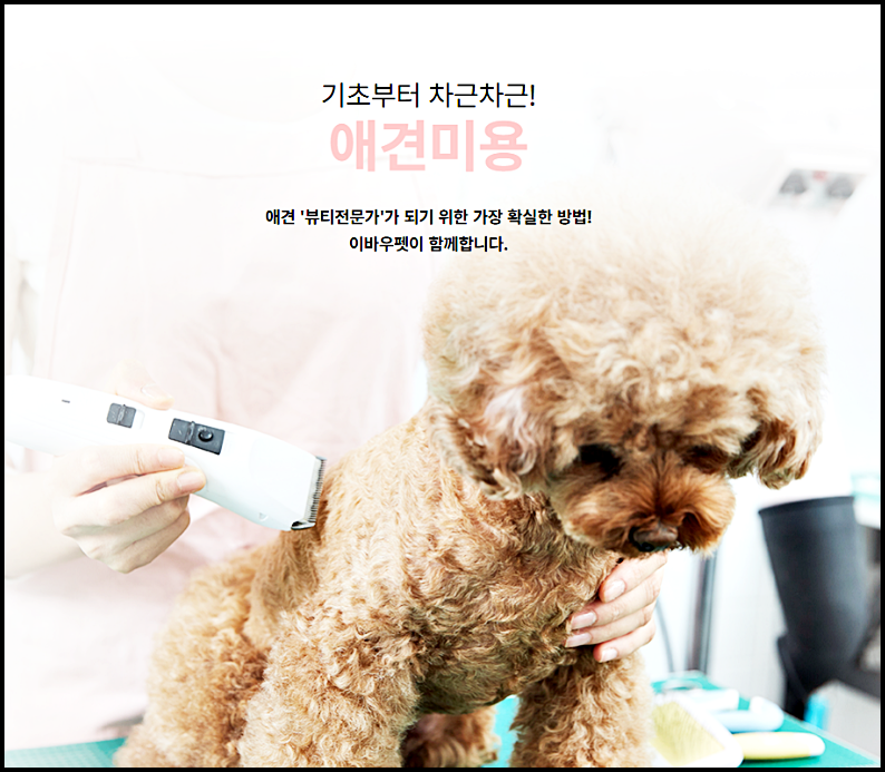 이바우펫