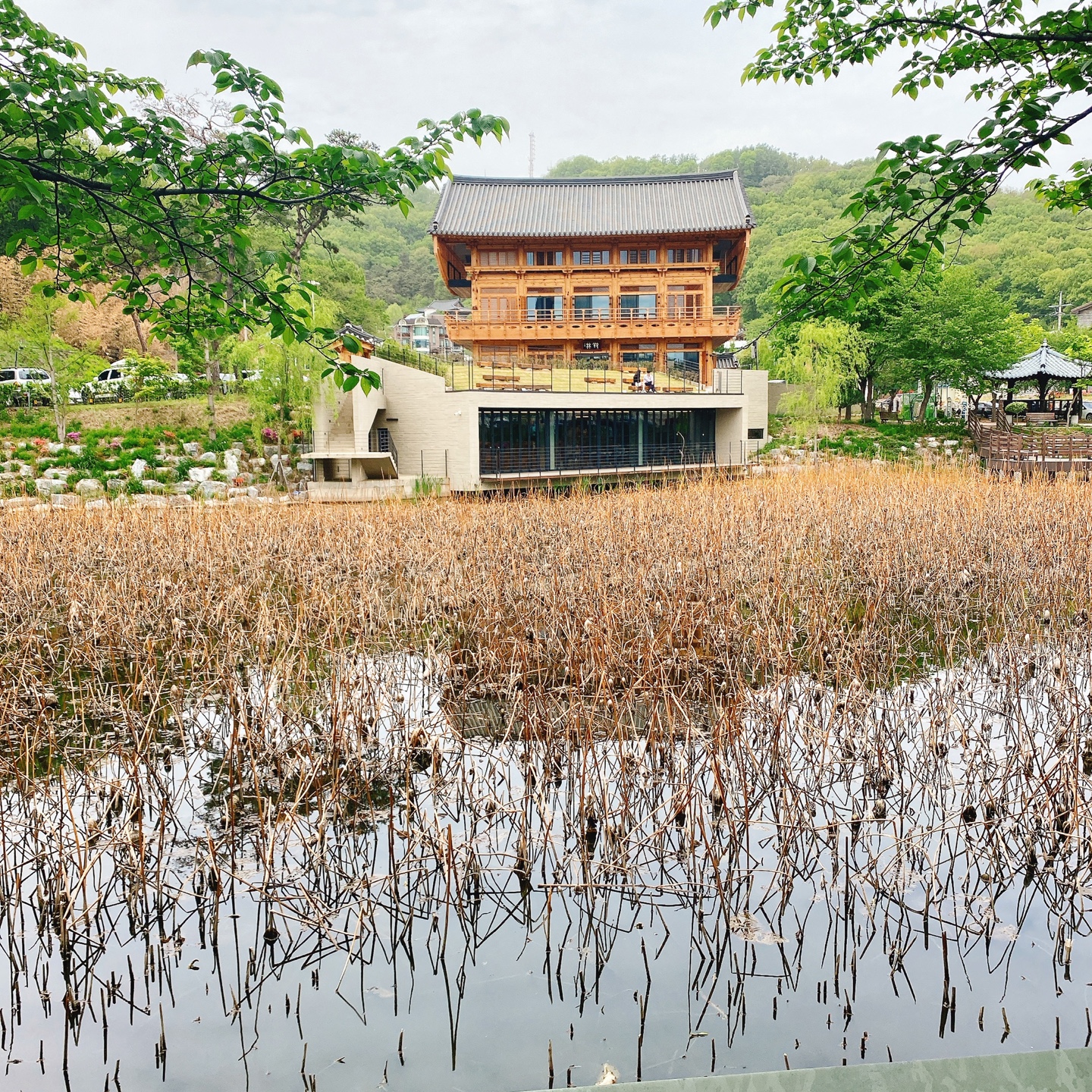 충북 청주 부모산 주봉마을 주봉저수지 한옥 북카페 인문아카이브양림 후마니타스