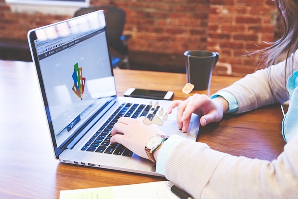 홈택스 크롬 오류 네이버 웨일 해결