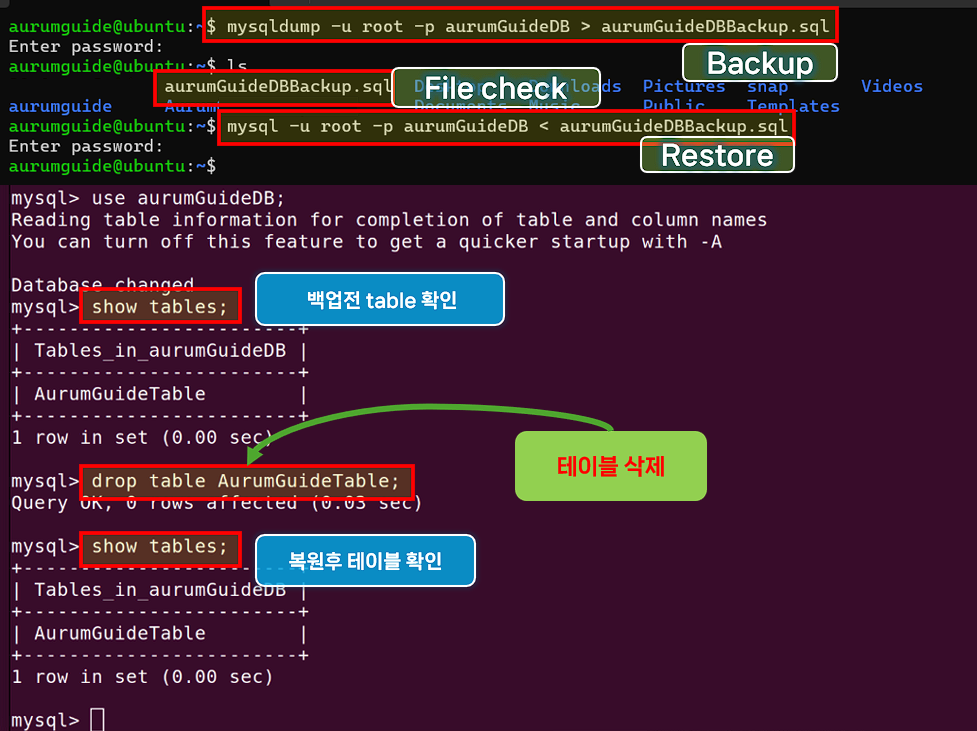 MySQL database 백업 및 복원 방법.