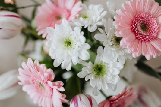 꽃다발 보관 환경 갖추기