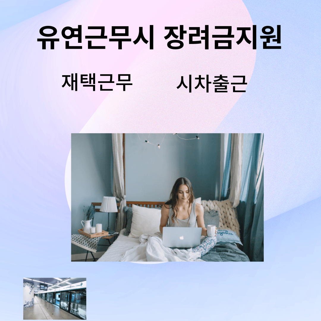 재택근무 지원금 (유연근무 지원금)