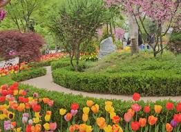 용인 자작나무숲 봄꽃 축제