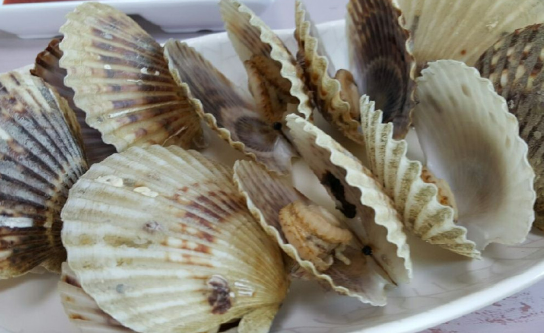 극한직업 거제 1박 3식 민박