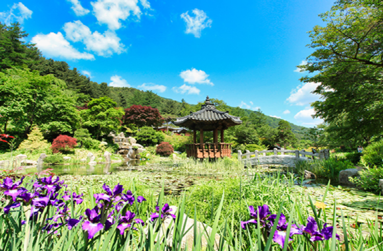 아침고요 수목원