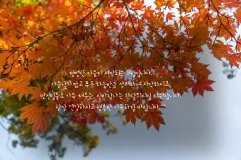 가을 인사말 모음 예시 문자_10