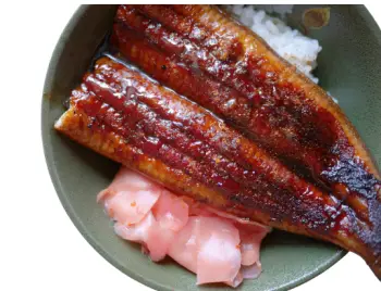 민물장어 가격 및 효능, 영양성분