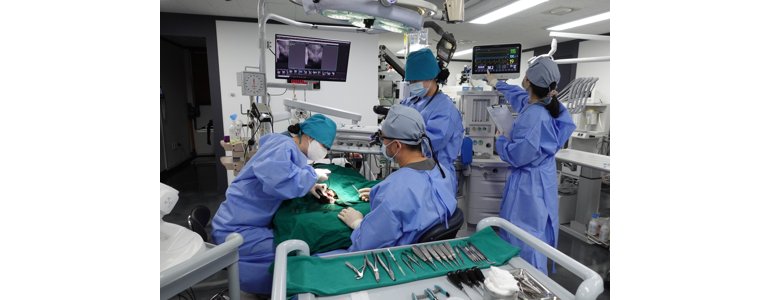 서울 송파구 동물병원