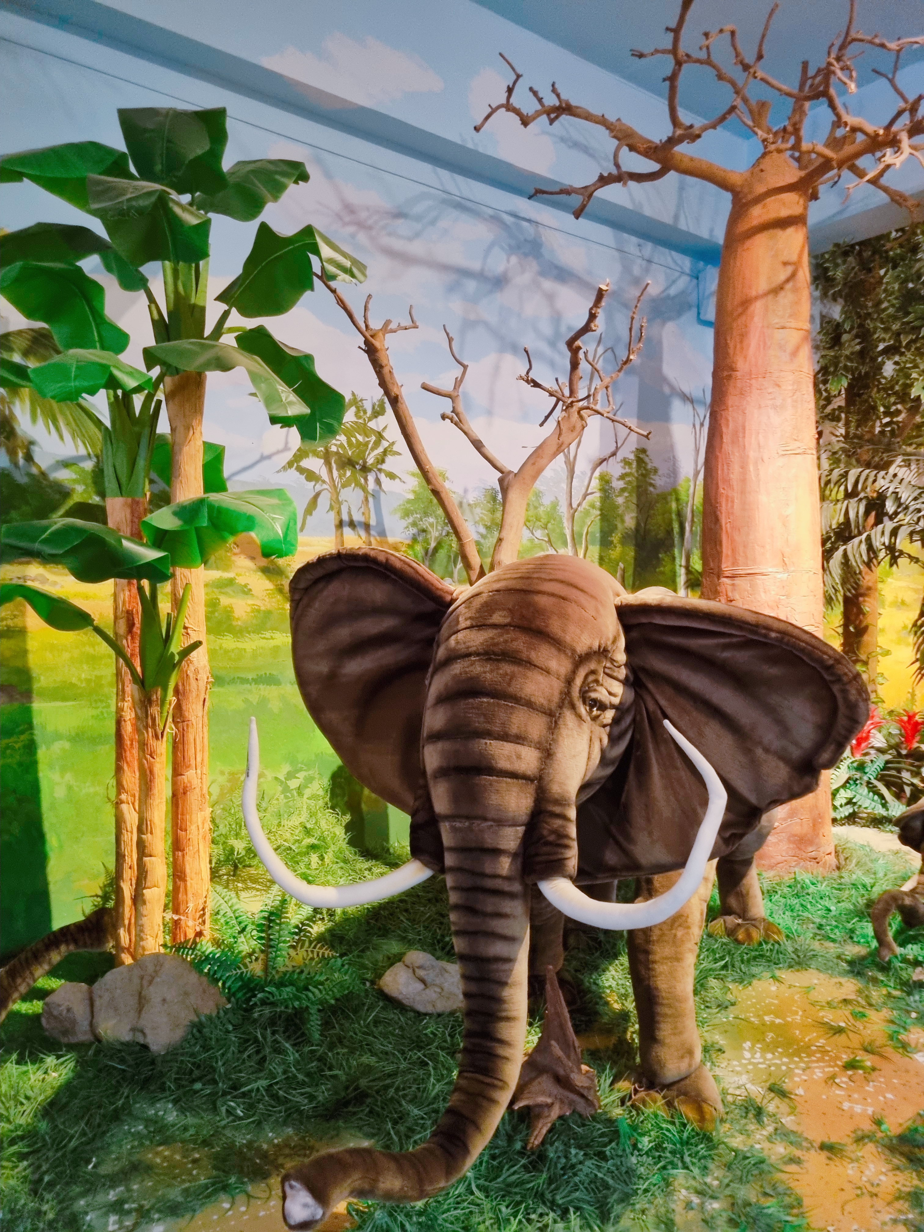 아프리카 박물관