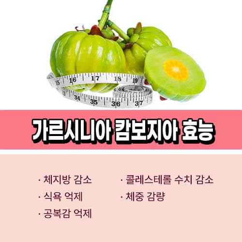 가르시니아 효능