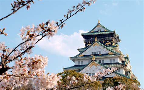 오사카성과 벚꽃나무