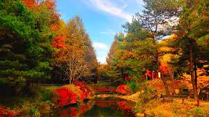 화담숲 모노레일