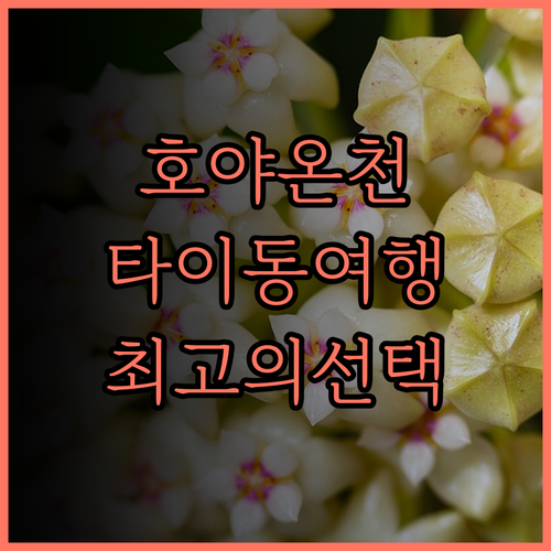 Hoya Hot Spring Reso