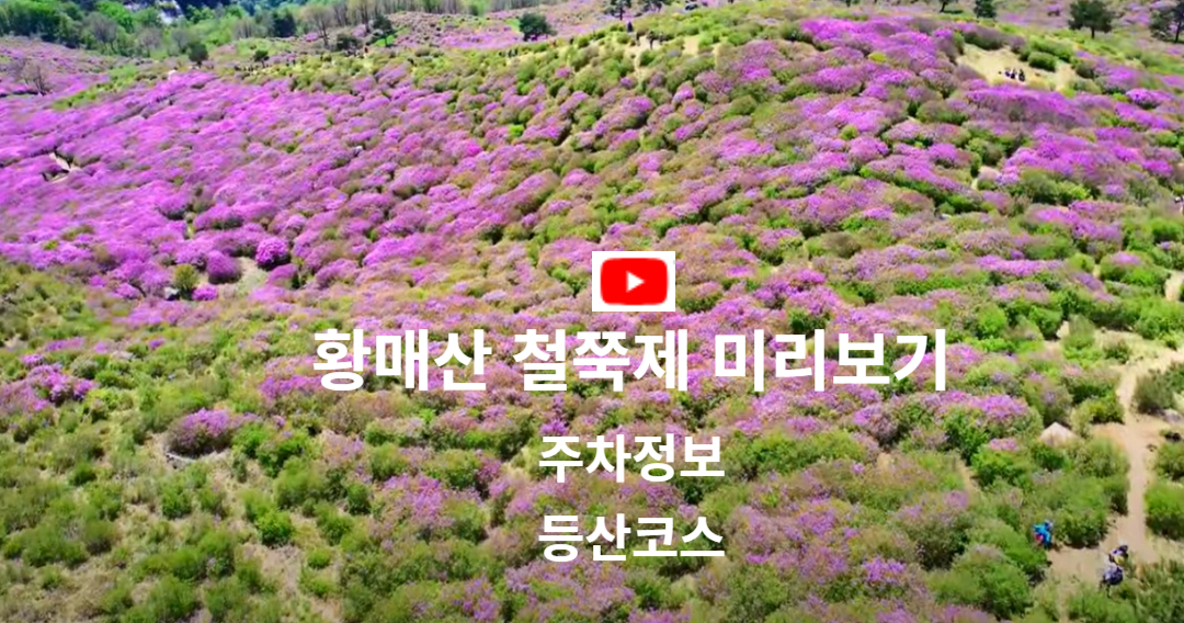 황매산 철쭉제 미리보기 동영상
