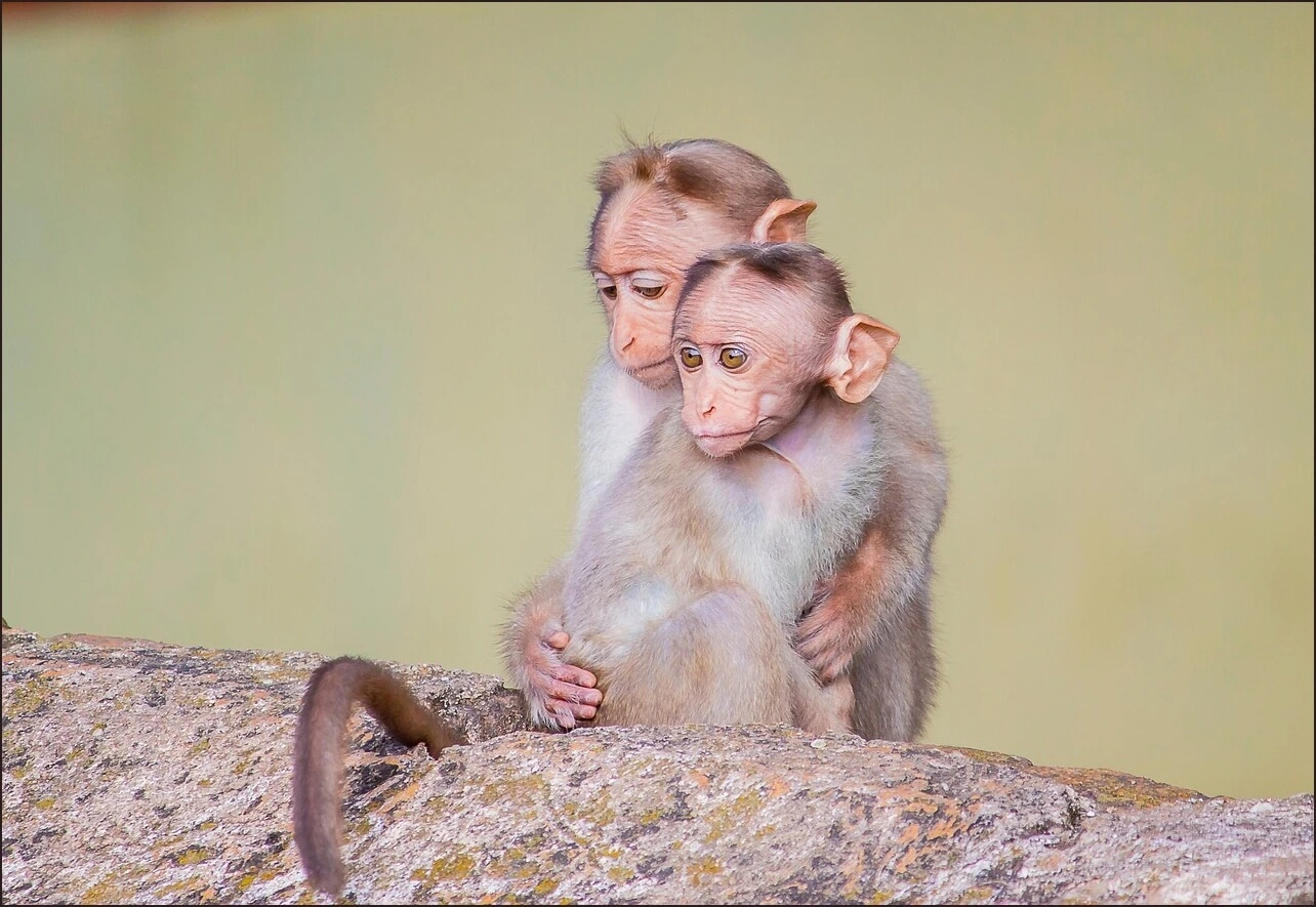 가족관계증명서 상세