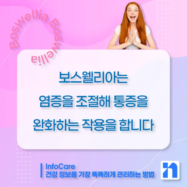 보스웰리아 효능&amp;#44; 먹는 방법과 주의사항