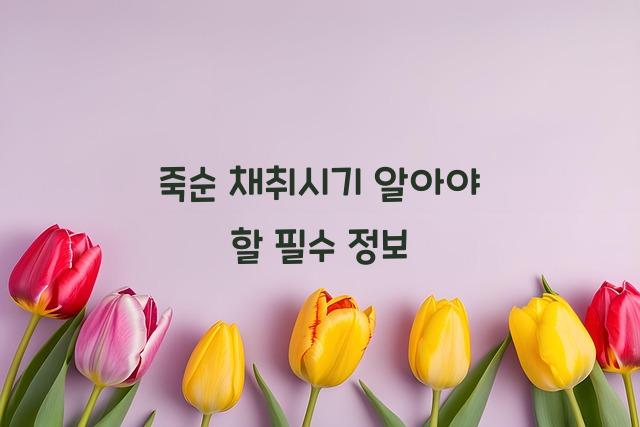 죽순 채취시기