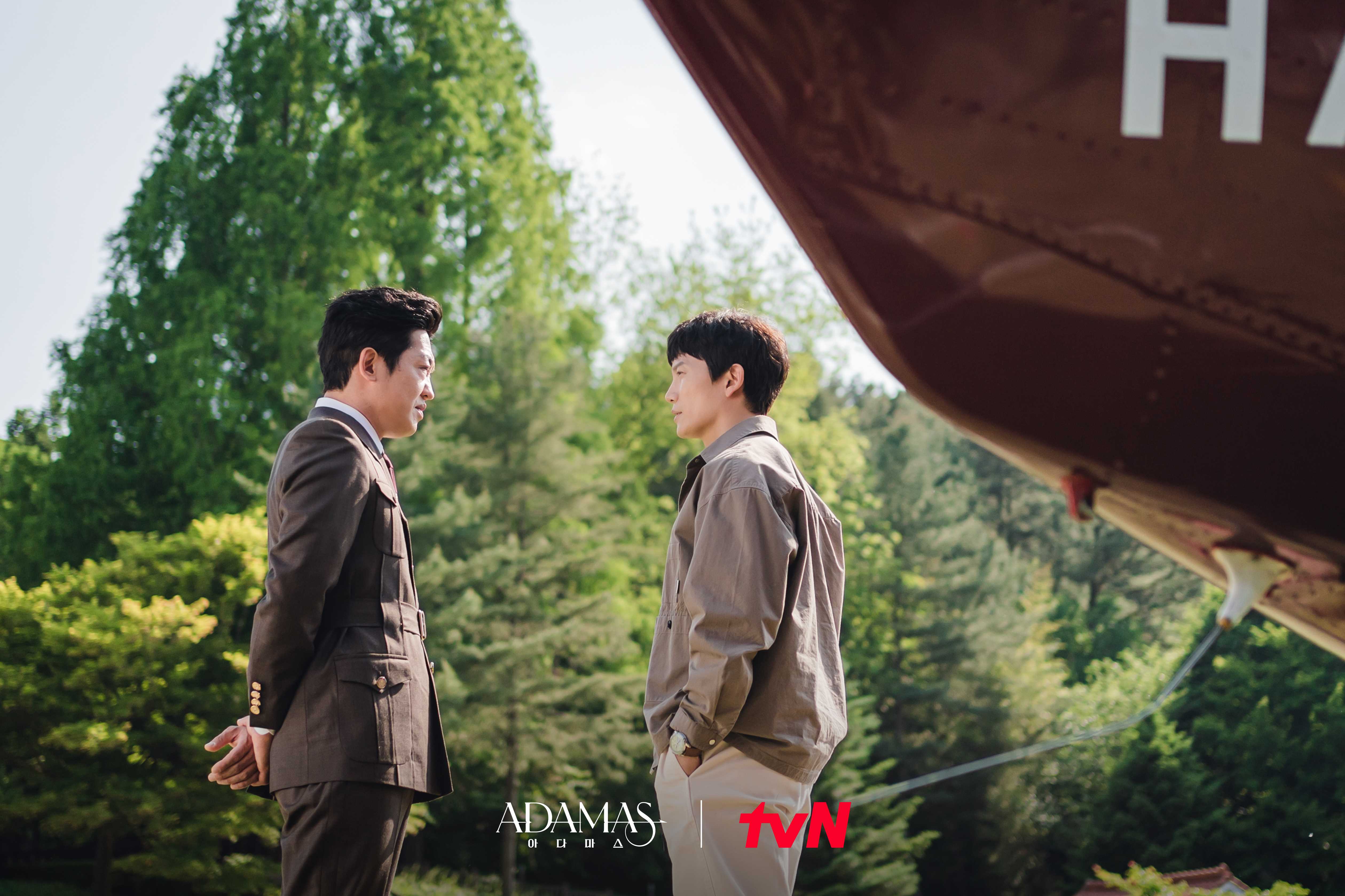 아다마스 스틸컷