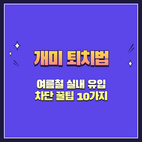개미 퇴치법 총정리: 여름철 실내 유입 차단 꿀팁 10가지