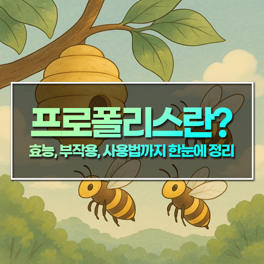 프로폴리스란? - 효능, 부작용, 사용법까지 한눈에 정리