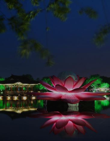 부여서동연꽃축제