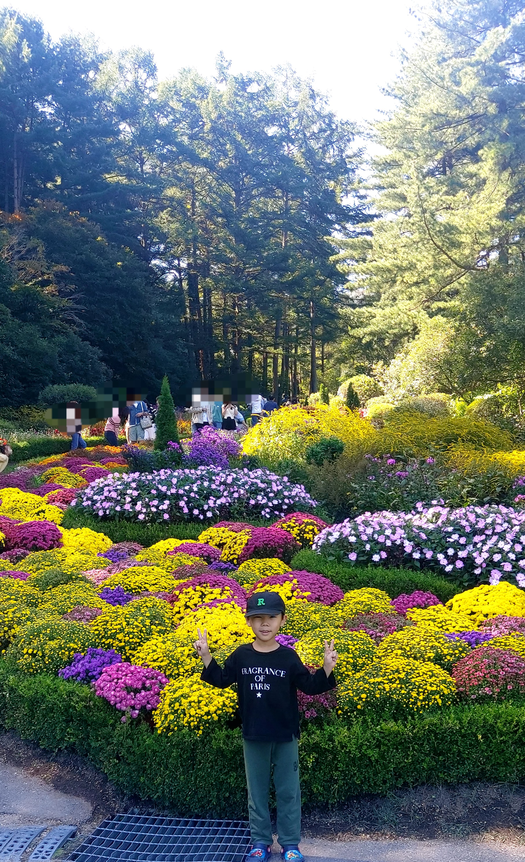 아침고요수목원