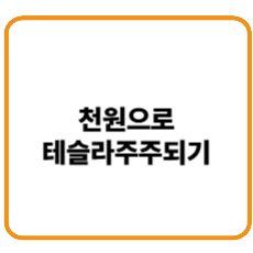 천원으로 테슬라 주주되기