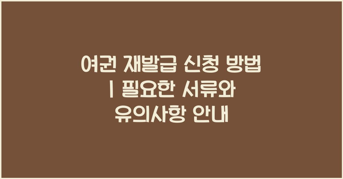 여권 재발급 신청 방법