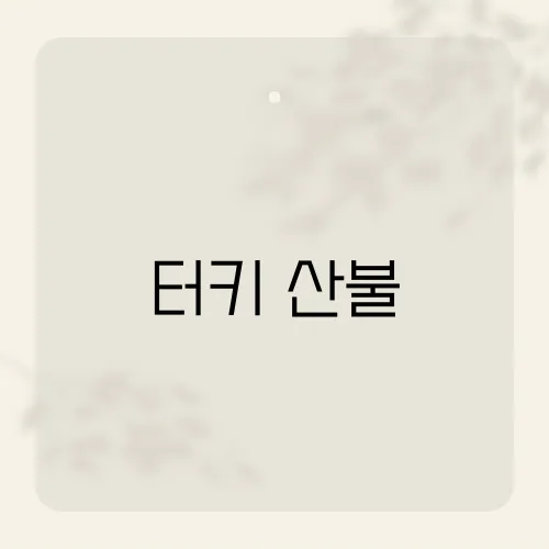 터키 산불, 올여름 여행객이 모르는 대책?