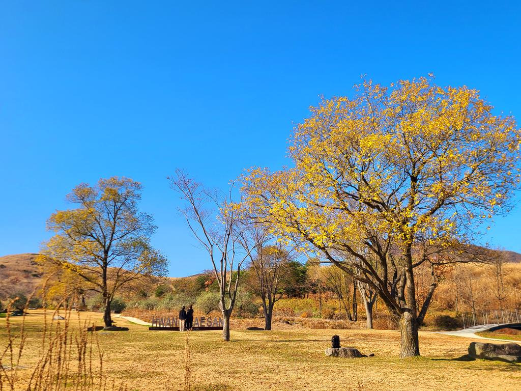 황매산 군립공원 소개 사진 이미지