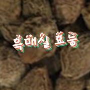 발효-흑매실-만드는법