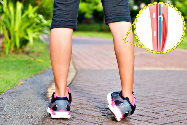 종아리 굵기 건강, 종아리굵기 짝짝, 팁줌