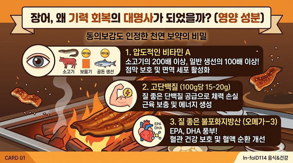 장어 효능